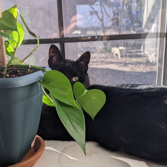 Meet your Posher - Picture 8 of 11